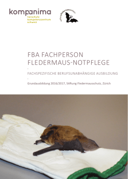 FBA FAchperson Fledermaus-NotpFlege