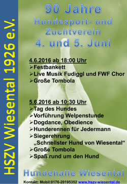 geht`s zum Flyer