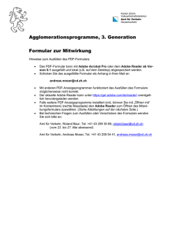 Hinweise zum Ausf&uuml;llen der Formulare - Amt f&uuml;r Verkehr