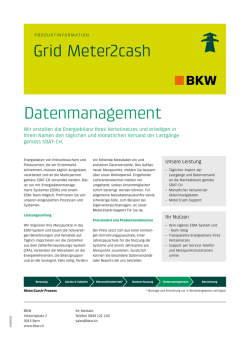 Grid Meter2cash Datenmanagement