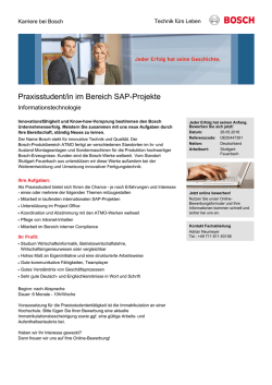 Praxisstudent/in im Bereich SAP-Projekte