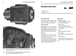 Glanzkohlenstoffeinschl&uuml;sse