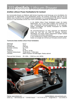 dreifels Lithium Power Kartbatterie