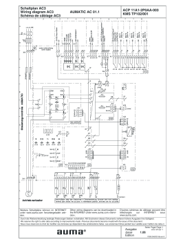 ACP 11A1-2P0AA-003 KMS TP102/001 Schaltplan AC3 Wiring