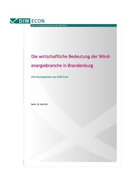 Die wirtschaftliche Bedeutung der Wind