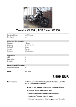 Detailansicht Yamaha XJR 1300 SP
