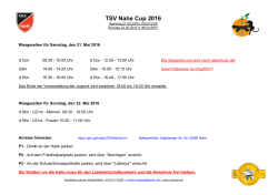 TSV Nahe Cup 2016
