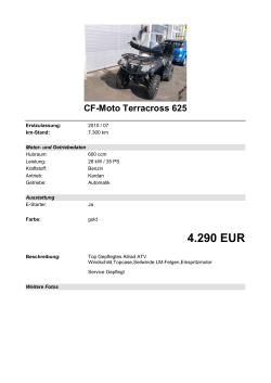 Detailansicht CF-Moto Terracross 625