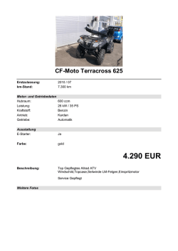 Detailansicht CF-Moto Terracross 625