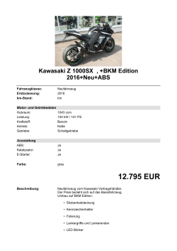 Detailansicht Kawasaki Z 1000SX €,€+BKM Edition