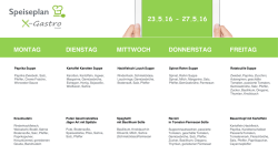PDF-Speiseplan