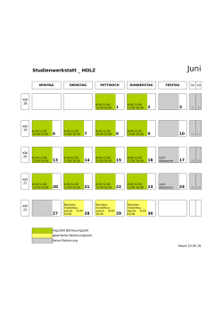 Studienwerkstatt _ HOLZ