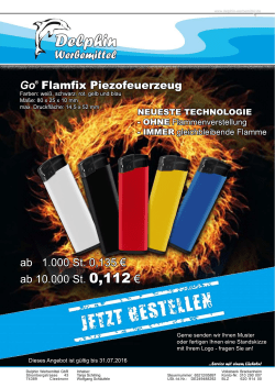 Flyer_Go Flamfix_2016.psd
