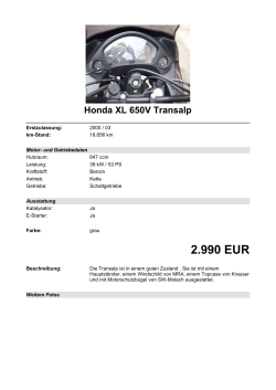 Detailansicht Honda XL 650V Transalp