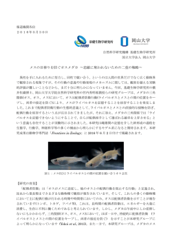 メスの目移りを防ぐオスメダカ 〜恋敵に奪われないための二
