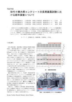 初代十勝大橋コンクリートの長期暴露試験にお ける経年