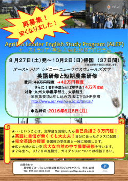 フォト アルバム