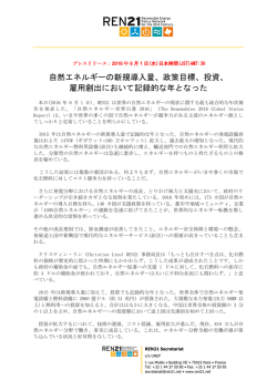 自然エネルギーの新規導入量、政策目標、投資