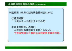 早期特例登録制度の概要