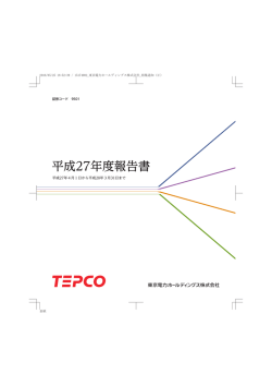 平成27年度報告書