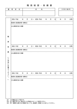 職務経歴・実績書（PDF形式 11.7KB）