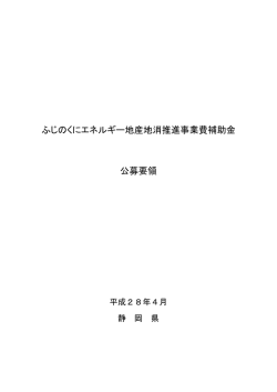 公募要領（PDF：255KB）