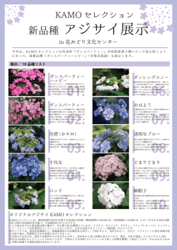 in 花みどり文化センター