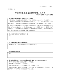 （案）の背景・概要版