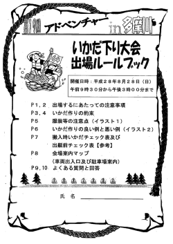 h28ルールブック (PDF形式 528キロバイト)