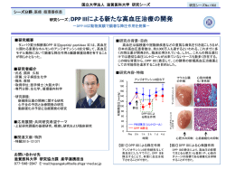 DPPⅢは動物実験で顕著な降圧作用を発揮