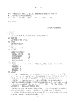 （電子入札、特別簡易型総合評価落札方式）に付