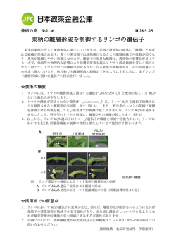 果柄の離層形成を制御するリンゴの遺伝子（技術の窓No.2136）