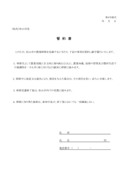 誓約書（PDF：91KB）