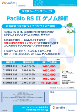 【可能な限り 大きなライブラリサイズで調製】 PacBio RS II P6C4系 最大