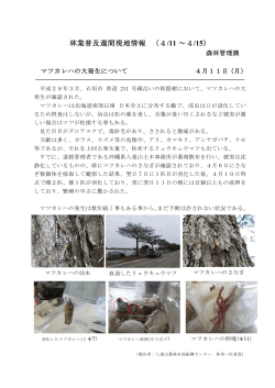 八重山マツカレハ被害について（PDF：383KB）