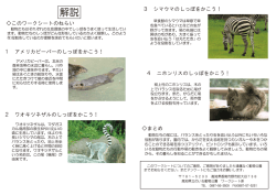 解説 - 高知県立のいち動物公園