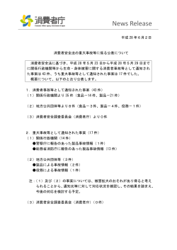 （保育サービスでの重傷事故等）[PDF:296KB]