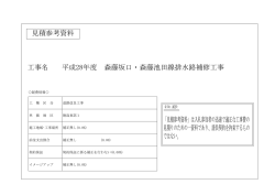 森藤坂口・森藤池田線排水路補修工事(見積もり参考資料