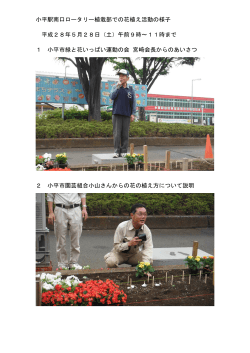 小平駅南口ロータリー植栽部での花植え活動の様子 平成28年5月28日