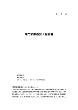 専門家業務完了報告書