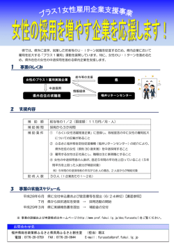 プラス1支援事業チラシ（PDF形式 323キロバイト）