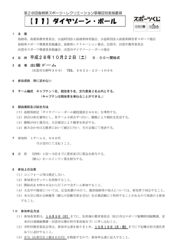 【11】ダイヤゾーン・ボール