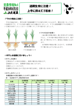 過剰生育に注意！ 上手に抑えて1等米！