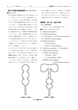 脳実習のガイド