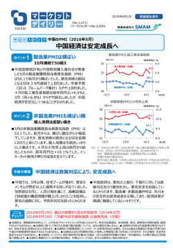 中国の PMI（2016年 5月）