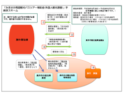 補助金申請の流れ（国外）（PDF：212.5KB）
