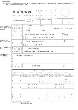 記入例 - 在ポルトガル日本国大使館