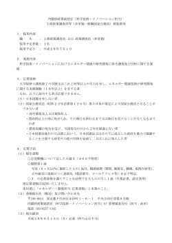 内閣府政策統括官（科学技術・イノベーション担当） 上席政策調査員等