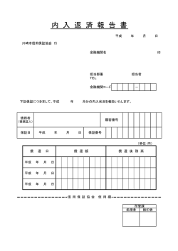 内入返済報告書（pdf）