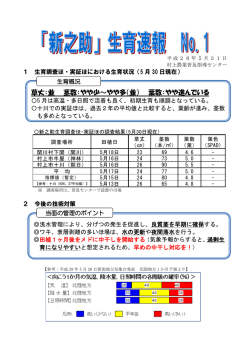 草丈：並 茎数：やや少～やや多（並） 葉数：やや進んでいる